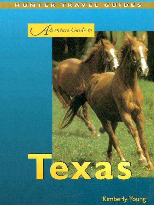 Title details for Adventure Guide to Texas by Kimberly Young - Available